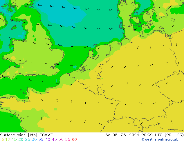 Bodenwind ECMWF Sa 08.06.2024 00 UTC