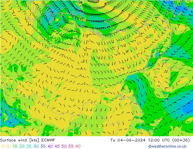 Surface wind ECMWF Út 04.06.2024 12 UTC