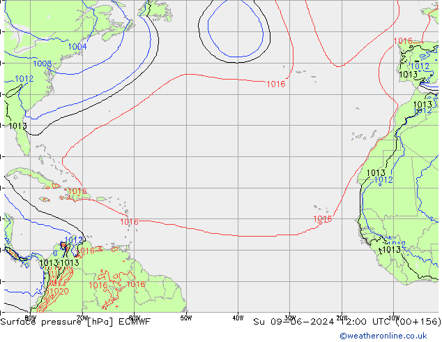 Surface pressure ECMWF Su 09.06.2024 12 UTC