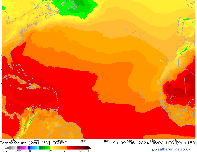 Temperaturkarte (2m) ECMWF So 09.06.2024 06 UTC