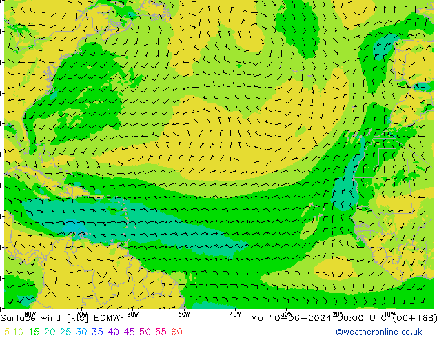 Surface wind ECMWF Mo 10.06.2024 00 UTC