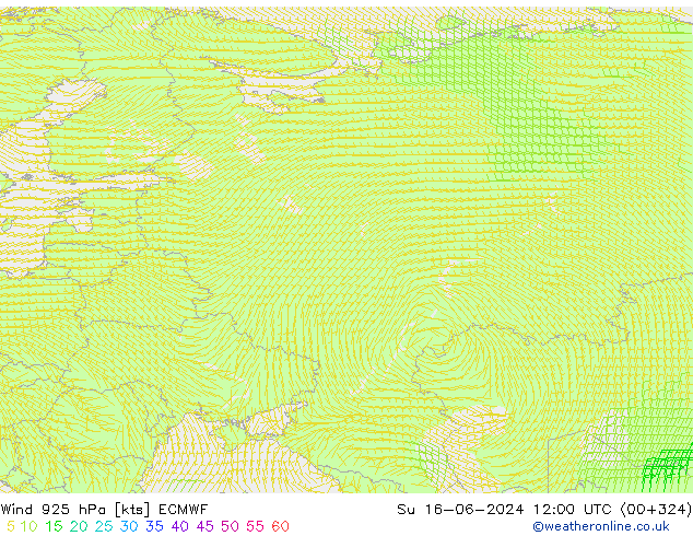 Vent 925 hPa ECMWF dim 16.06.2024 12 UTC