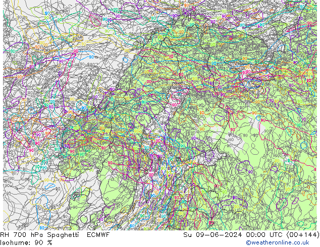 RH 700 hPa Spaghetti ECMWF Dom 09.06.2024 00 UTC