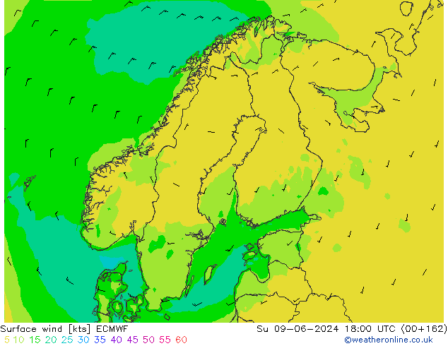 Vento 10 m ECMWF dom 09.06.2024 18 UTC