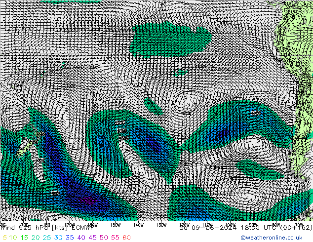 Viento 925 hPa ECMWF dom 09.06.2024 18 UTC