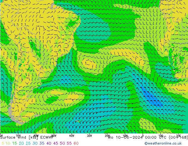 Rüzgar 10 m ECMWF Pzt 10.06.2024 00 UTC