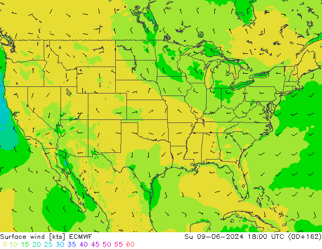 Surface wind ECMWF Ne 09.06.2024 18 UTC