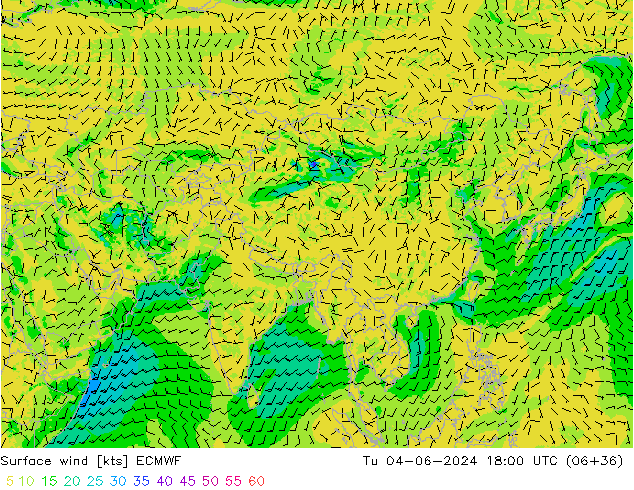 Bodenwind ECMWF Di 04.06.2024 18 UTC