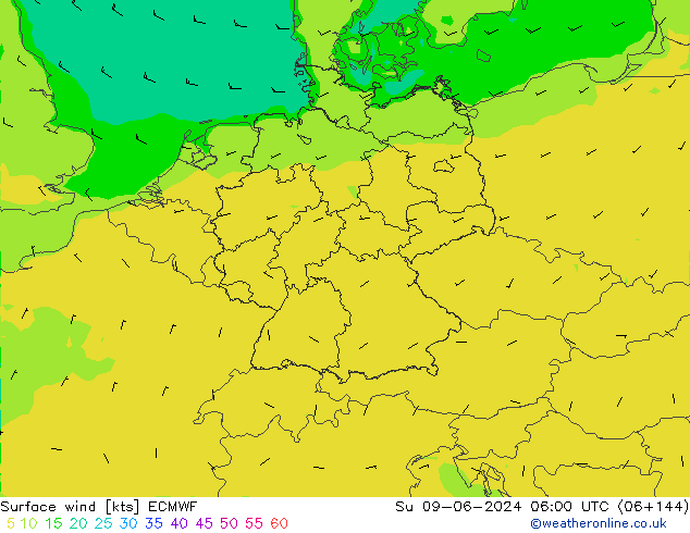 Surface wind ECMWF Ne 09.06.2024 06 UTC