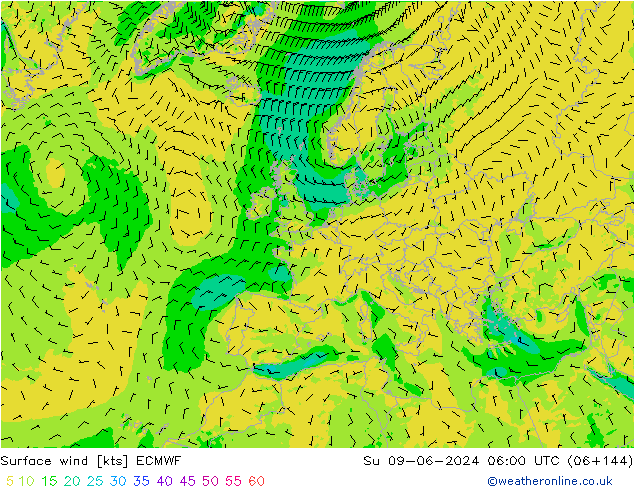 Wind 10 m ECMWF zo 09.06.2024 06 UTC