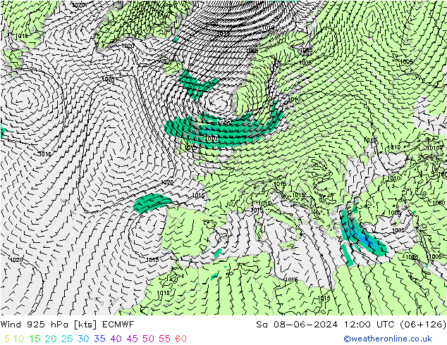 ветер 925 гПа ECMWF сб 08.06.2024 12 UTC