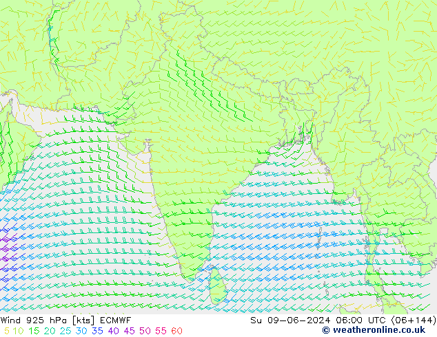 Rüzgar 925 hPa ECMWF Paz 09.06.2024 06 UTC