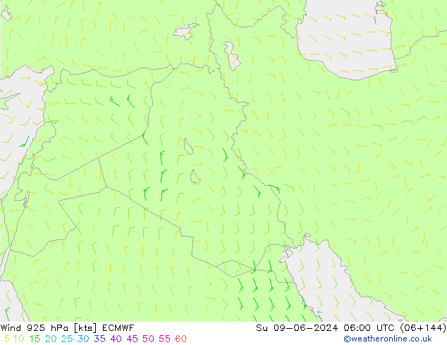  925 hPa ECMWF  09.06.2024 06 UTC