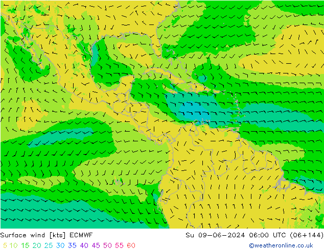 Surface wind ECMWF Su 09.06.2024 06 UTC