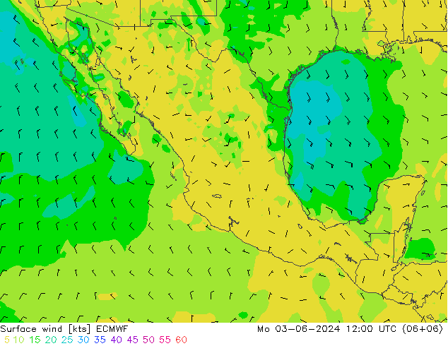 Vento 10 m ECMWF lun 03.06.2024 12 UTC