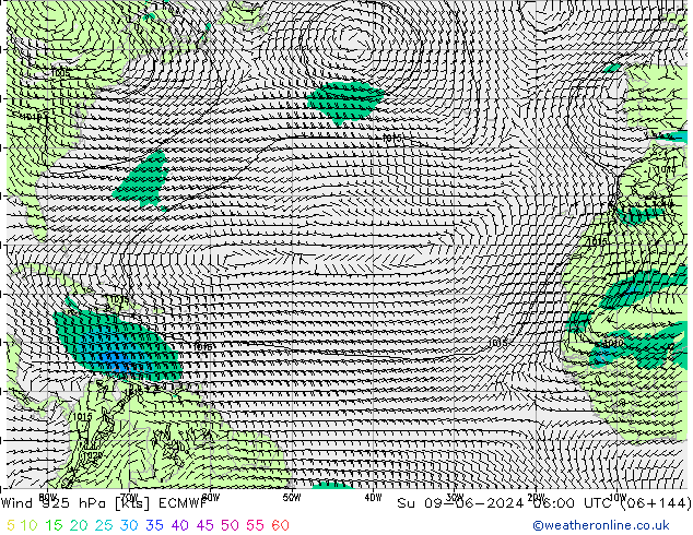 Wind 925 hPa ECMWF zo 09.06.2024 06 UTC