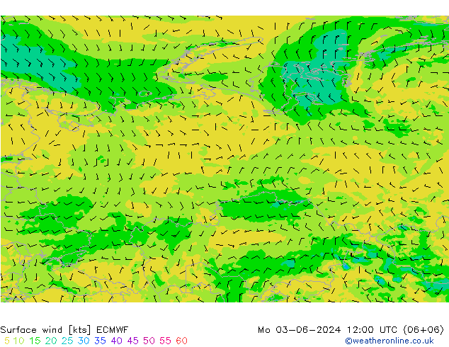  10 m ECMWF  03.06.2024 12 UTC