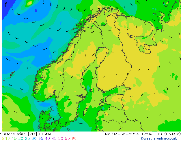  10 m ECMWF  03.06.2024 12 UTC