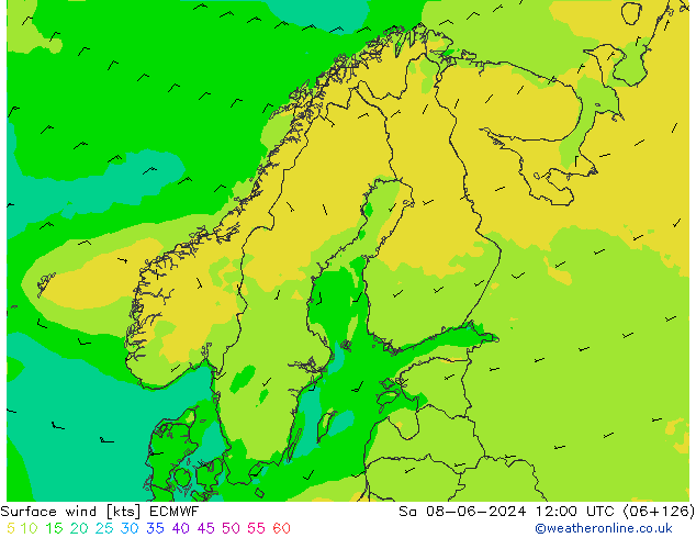 Wind 10 m ECMWF za 08.06.2024 12 UTC