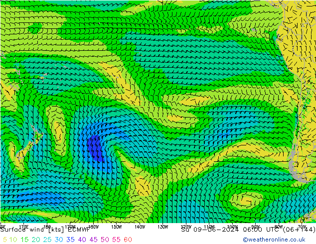 Surface wind ECMWF Su 09.06.2024 06 UTC
