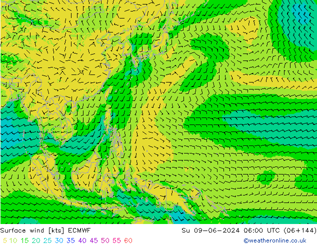 Vent 10 m ECMWF dim 09.06.2024 06 UTC