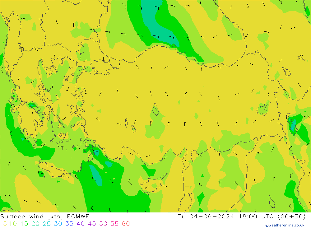  10 m ECMWF  04.06.2024 18 UTC