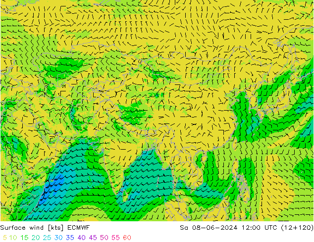 Surface wind ECMWF Sa 08.06.2024 12 UTC