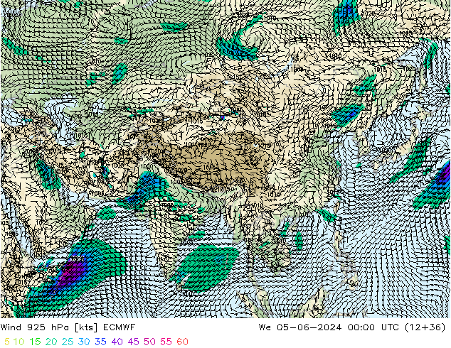 wiatr 925 hPa ECMWF śro. 05.06.2024 00 UTC