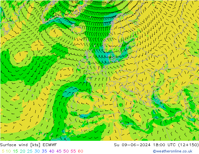 Surface wind ECMWF Ne 09.06.2024 18 UTC