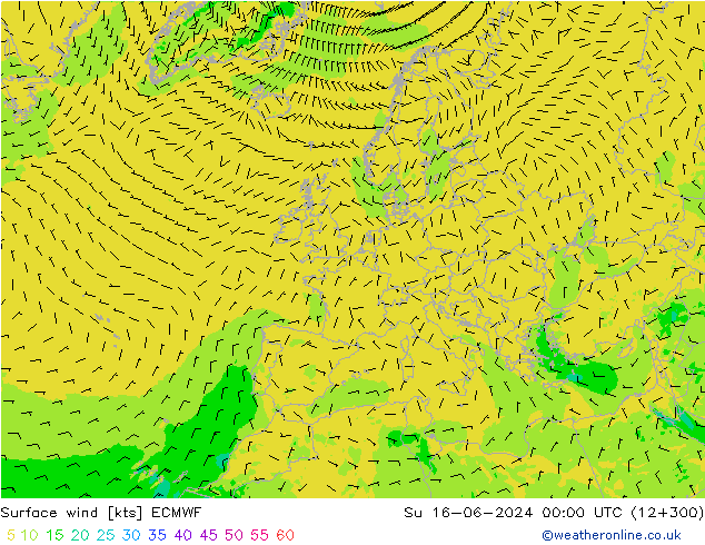  10 m ECMWF  16.06.2024 00 UTC