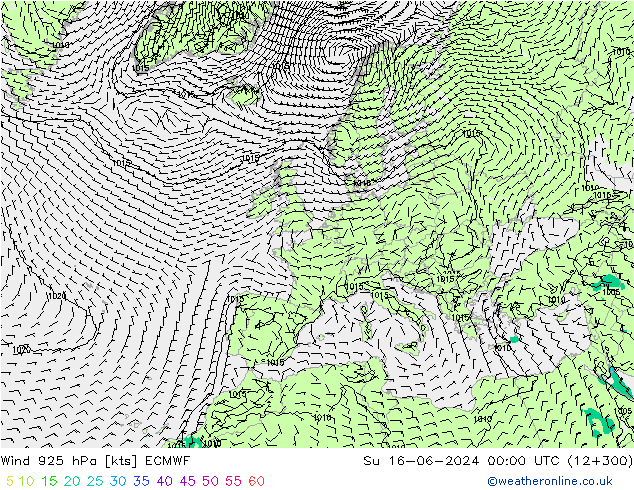 Wind 925 hPa ECMWF Ne 16.06.2024 00 UTC