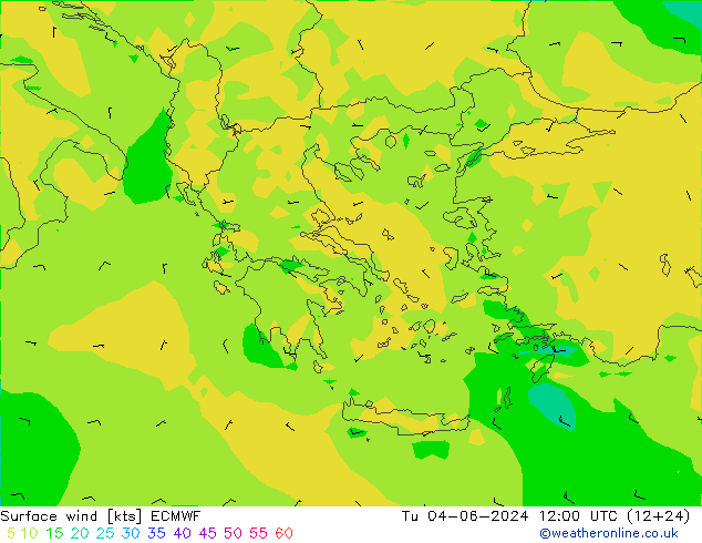 Surface wind ECMWF Tu 04.06.2024 12 UTC