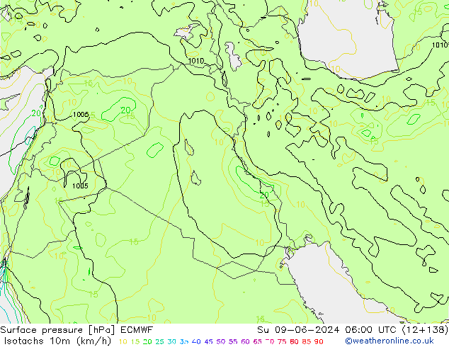 Isotaca (kph) ECMWF dom 09.06.2024 06 UTC