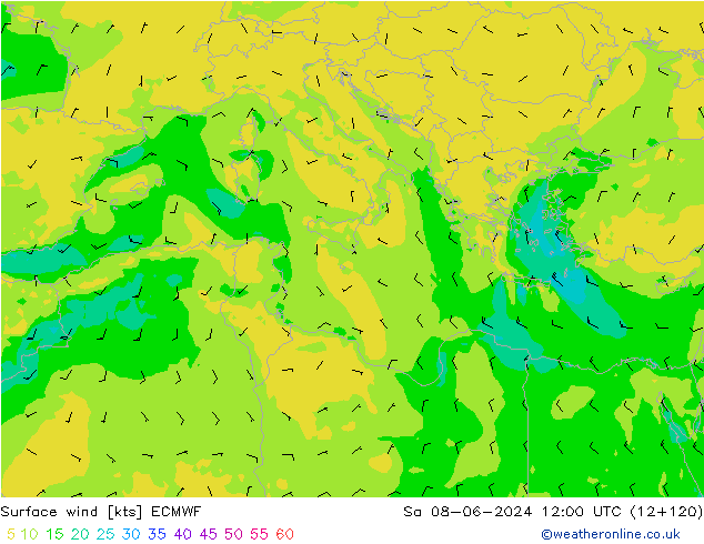 Rüzgar 10 m ECMWF Cts 08.06.2024 12 UTC