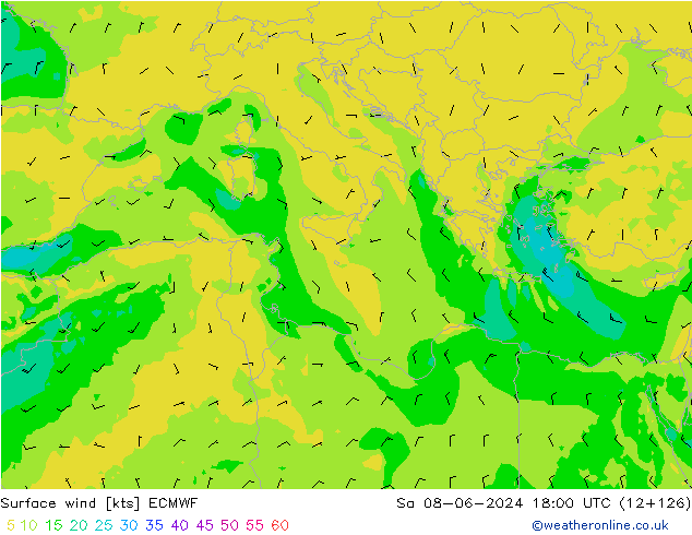 Vento 10 m ECMWF sab 08.06.2024 18 UTC