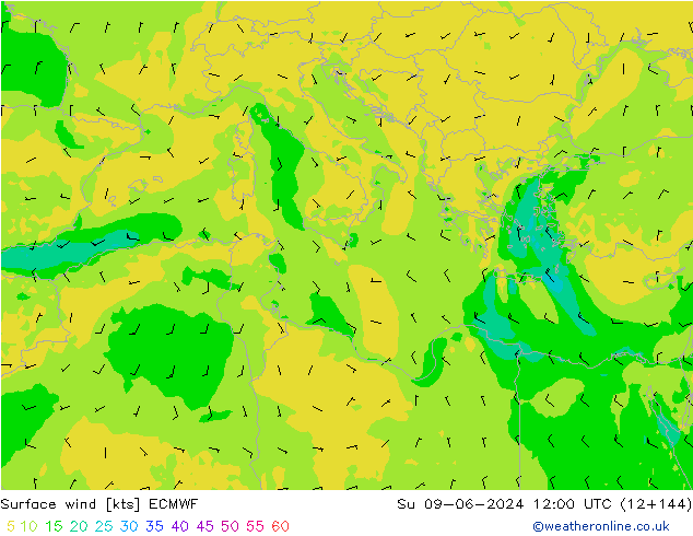 Surface wind ECMWF Su 09.06.2024 12 UTC