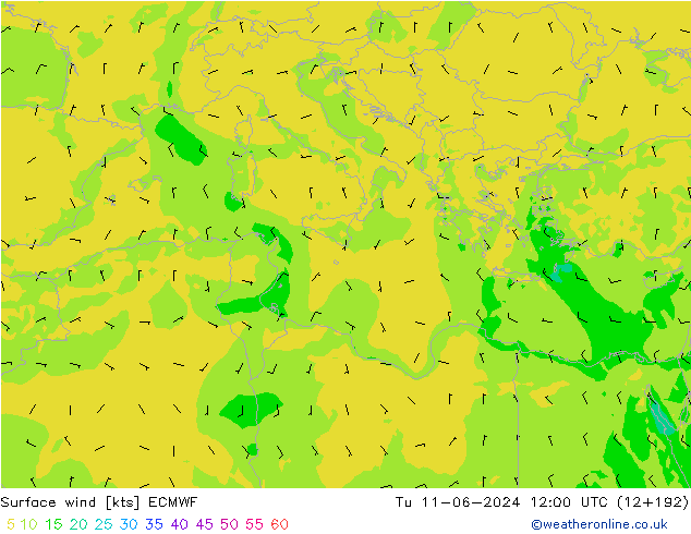 Surface wind ECMWF Tu 11.06.2024 12 UTC