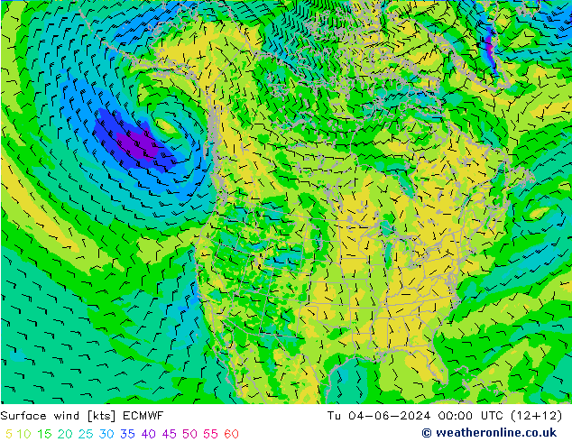 风 10 米 ECMWF 星期二 04.06.2024 00 UTC