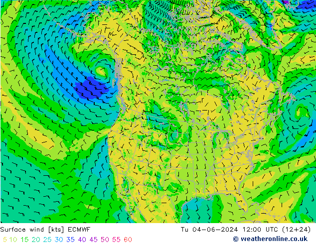 Bodenwind ECMWF Di 04.06.2024 12 UTC