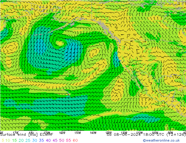 Surface wind ECMWF Sa 08.06.2024 18 UTC