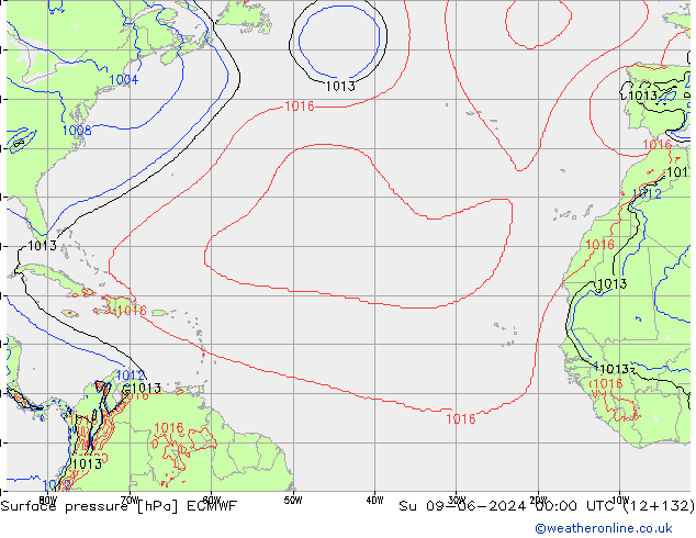 приземное давление ECMWF Вс 09.06.2024 00 UTC