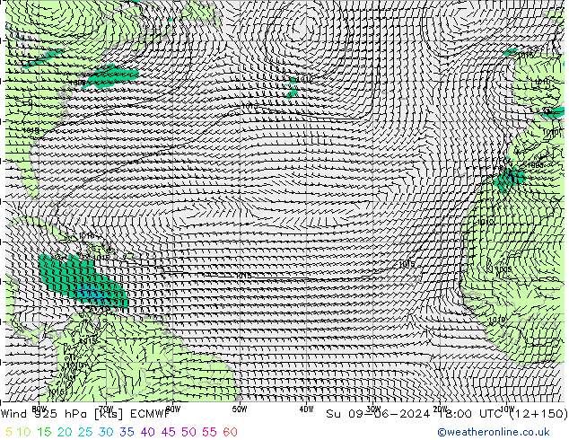 ветер 925 гПа ECMWF Вс 09.06.2024 18 UTC