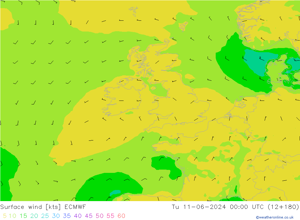 ветер 10 m ECMWF вт 11.06.2024 00 UTC