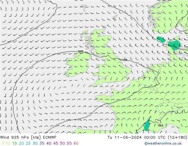 Vento 925 hPa ECMWF Ter 11.06.2024 00 UTC