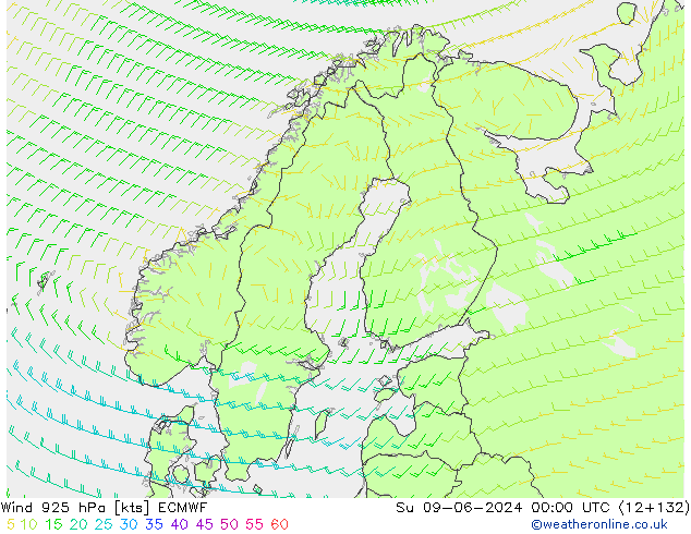 ветер 925 гПа ECMWF Вс 09.06.2024 00 UTC