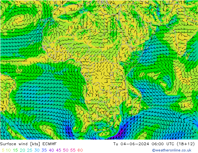 ветер 10 m ECMWF вт 04.06.2024 06 UTC