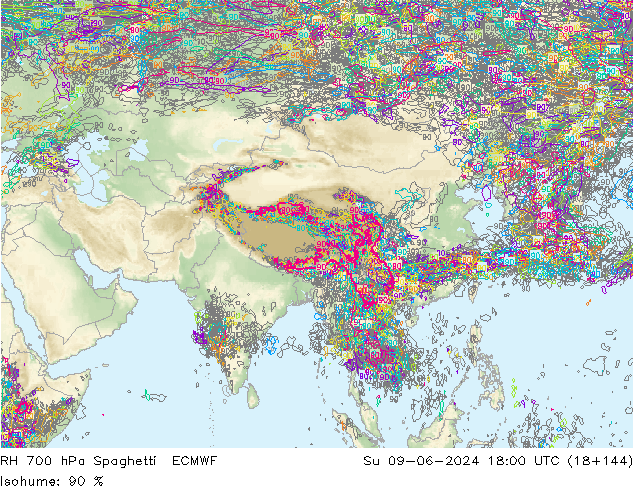 Humedad rel. 700hPa Spaghetti ECMWF dom 09.06.2024 18 UTC