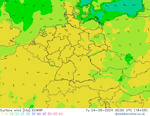 Surface wind ECMWF Tu 04.06.2024 00 UTC