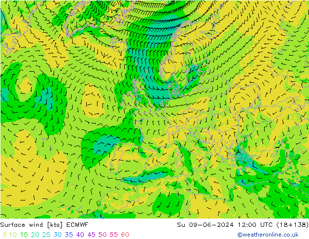  10 m ECMWF  09.06.2024 12 UTC