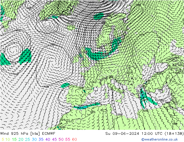  925 hPa ECMWF  09.06.2024 12 UTC